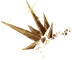 http://it.ohmydollz.com/img/big/57646.png